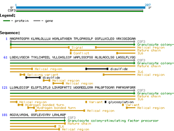 Human Granulocyte-Colony Stimulating Factor protein