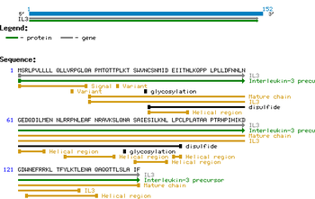 Human Interleukin-3 protein