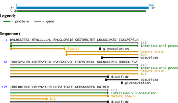 Murine Interleukin-3 protein