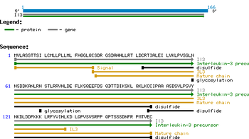 Rat Interleukin-3 protein