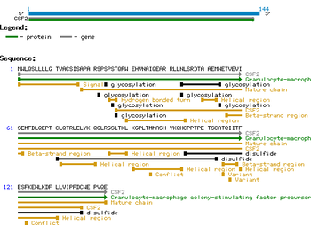 Human Granulocyte Macrophage-Colony Stimulating Factor His Tag protein