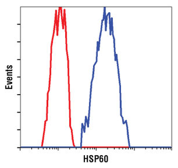 HSP60 (D85) Antibody