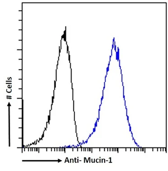 Mucin1 Monoclonal Antibody