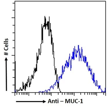 Mucin-1 Monoclonal Antibody