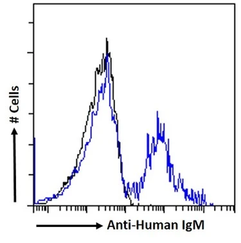 Human IgM Monoclonal Antibody