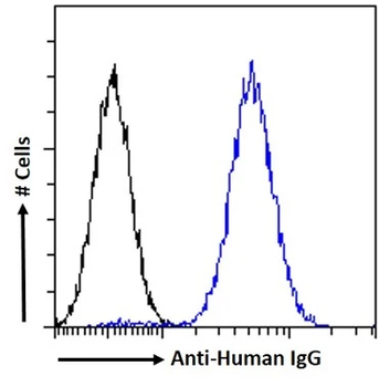 Human IgG Monoclonal Antibody