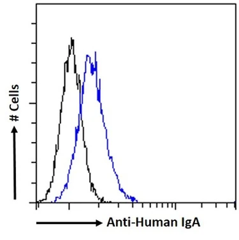 Human IgA Monoclonal Antibody
