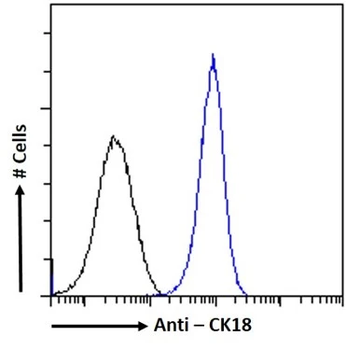 Cytokeratin 18 Monoclonal Antibody
