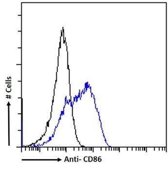 CD86 Monoclonal Antibody