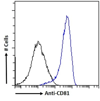 CD81 Monoclonal Antibody