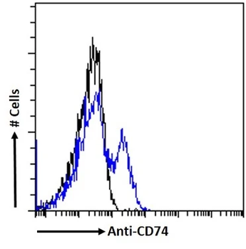 CD74 Monoclonal Antibody