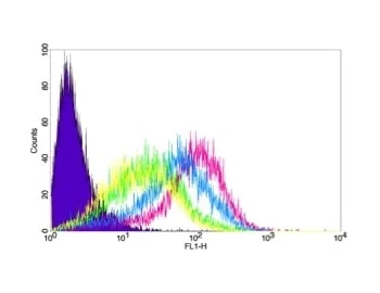 CD44 Monoclonal Antibody