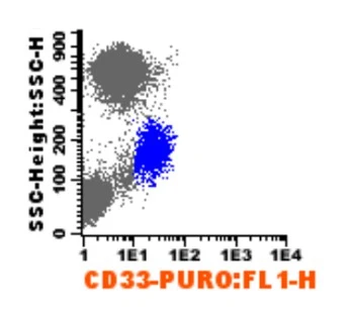 CD33 Monoclonal Antibody