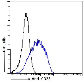 CD23 Monoclonal Antibody