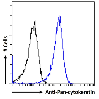 Human Cytokeratin 18 Antibody