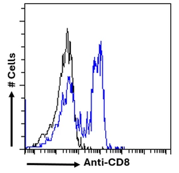 CD8 alpha chain Antibody