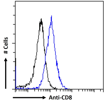 CD8 alpha chain Antibody