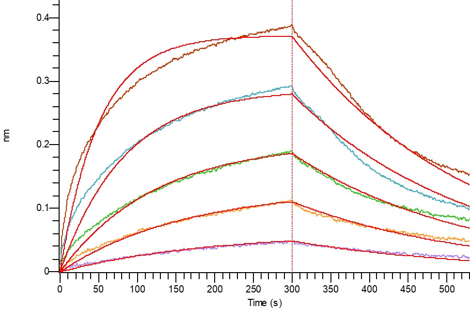 Recombinant Human OX40L Protein