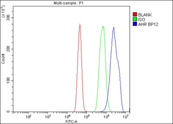 Aryl hydrocarbon Receptor/AHR Antibody