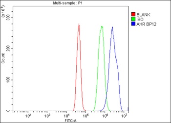 Anti-Aryl hydrocarbon Receptor/AHR Antibody
