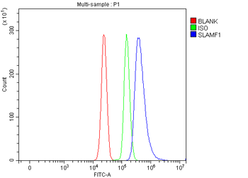 SLAM/CD150/SLAMF1 Antibody