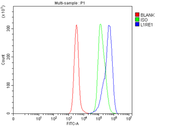 L1RE1 Rabbit Polyclonal Antibody