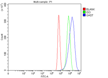 Anti-Gastrin/GAST Antibody