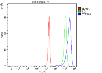 Cytochrome P450 3A4/CYP3A4 Rabbit Polyclonal Antibody