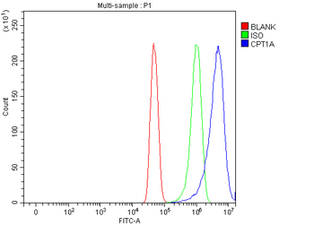 Anti-CPT1A Antibody