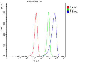 Dectin-1/Clec7a Antibody
