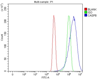 Caspase-8(p18)/CASP8 Antibody