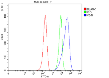 C5 Rabbit Polyclonal Antibody