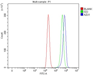 Azurocidin/AZU1 Antibody