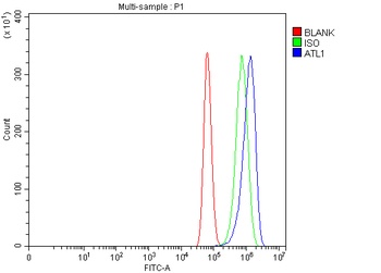 SPG3A/ATL1 Antibody