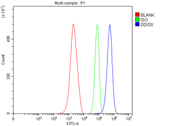 DDX3/DDX3X Rabbit Polyclonal Antibody