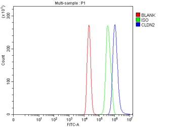 Claudin 2/CLDN2 Antibody