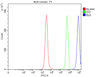 BLK Antibody