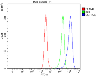 UGT1A10 Rabbit Polyclonal Antibody