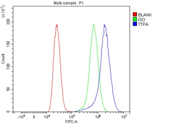 TTPA/TPP1 Antibody