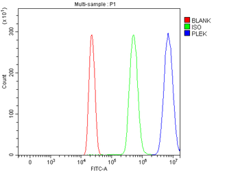 Pleckstrin/PLEK Antibody