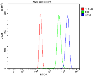 E2F3 Rabbit Polyclonal Antibody