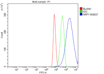 Neuropilin 1 Antibody (monoclonal, 8G6G7)