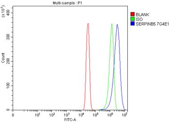 MASPIN Antibody (monoclonal, 7G4E1)