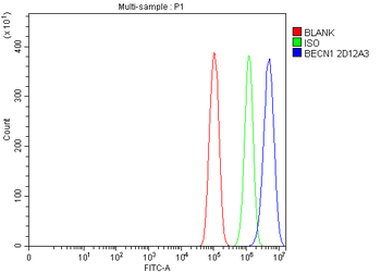 Beclin 1 Antibody (monoclonal, 2D12A3)