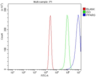 PPAR gamma/PPARG Antibody
