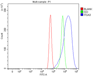 Anti-Integrin alpha 3/ITGA3 Antibody