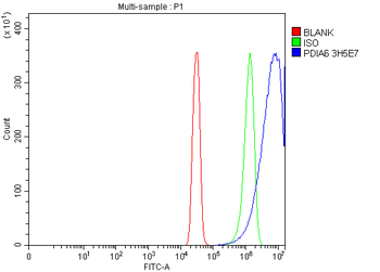 Anti-PDIA6 Antibody (monoclonal, 3H5E7)