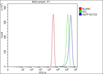 ALPP Antibody (monoclonal, 6C7G3)