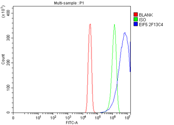 EIF5 Antibody (monoclonal, 2F13C4)