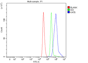 Tip60/KAT5 Rabbit Polyclonal Antibody